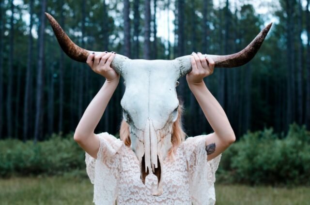 mallory-johndrow-KAsjiTRuihk-unsplash_1