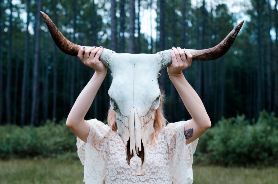 mallory johndrow KAsjiTRuihk unsplash 1