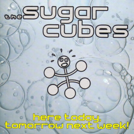 Sugarcubes: Here Today, Tomorrow Next Week!